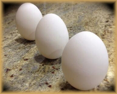 jarná rovnodennosť-vyvažovanie vajíčka